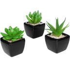 Mini Succulent Artificial Plants with Square Black Ceramic Pots