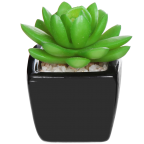Mini Succulent Artificial Plants with Square Black Ceramic Pots