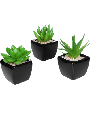Mini Succulent Artificial Plants with Square Black Ceramic Pots