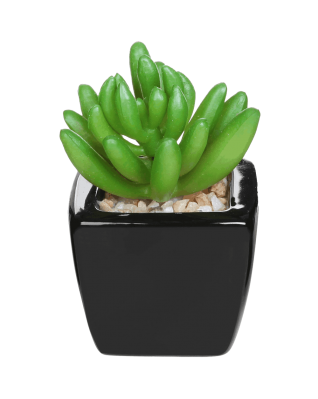 Chinese Dragon and Phoenix Celadon Ceramic Vase